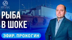 Эфир. Арктический этнопарк. Северная верфь. День рыбака