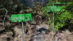 МАВРИКИЙ+2025 (3)