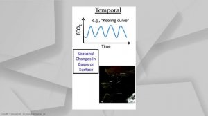 Планеты могут быть разумными?