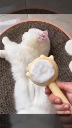 Котоватные диски