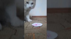 1000039852.mp4
