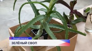 Своп прошёл в Нижнем Новгороде
