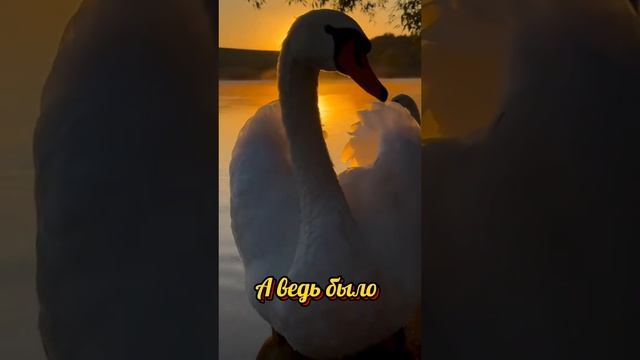 И диван