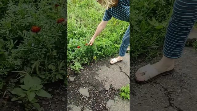 Мама делает жабку #мамаидочь#лерахаас#влог