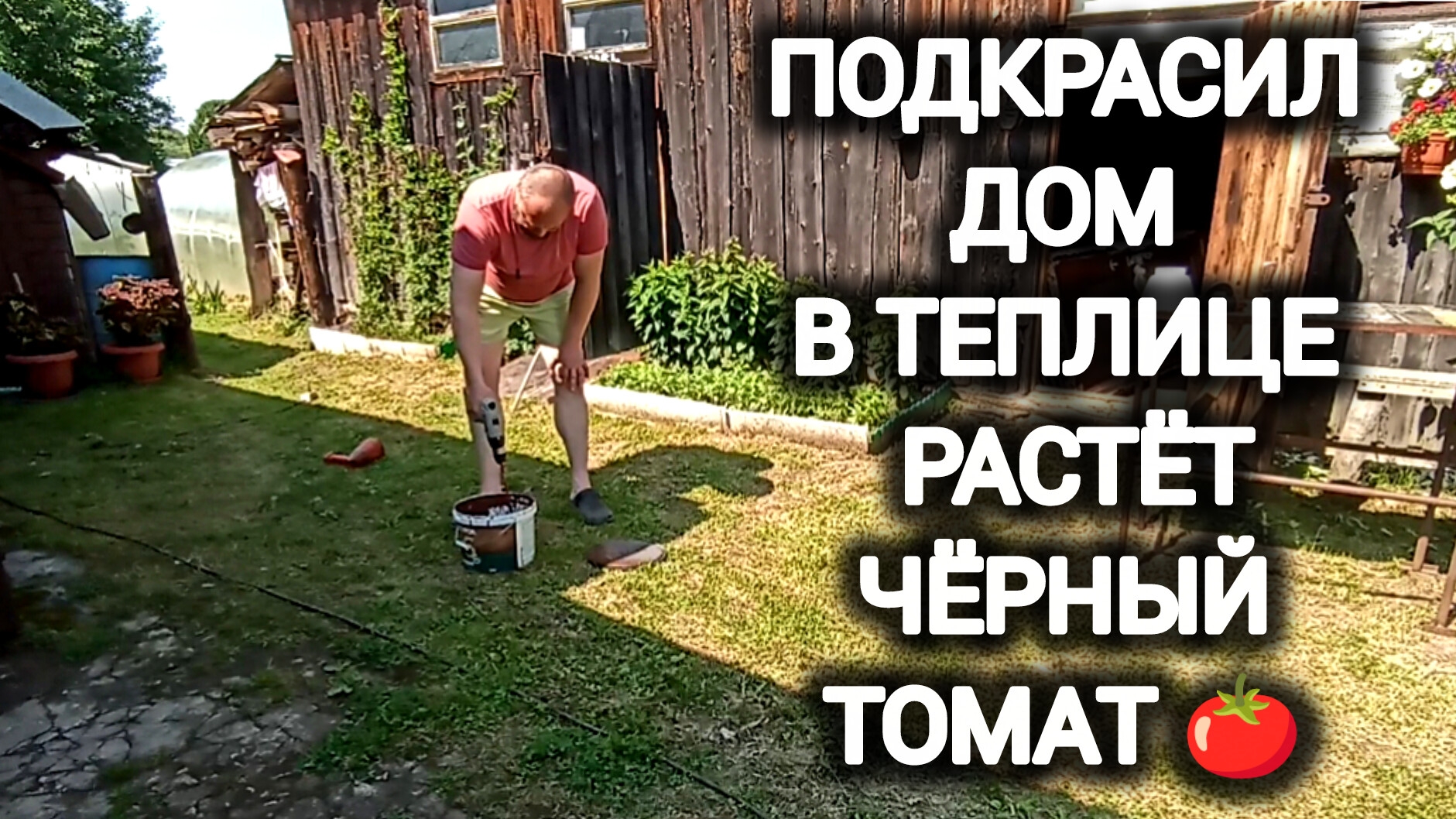 Хлопоты на деревне: покраска дома и урожай из теплицы смотреть онлайн