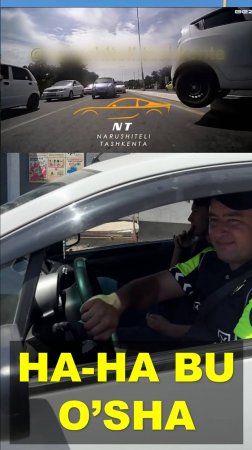 Бузоқни югургани сомонхонагача ГАИга бўйсунмаганники эса жарима майдонигача
