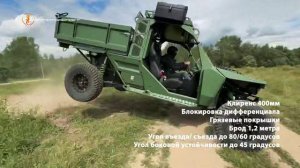 грузовой багги