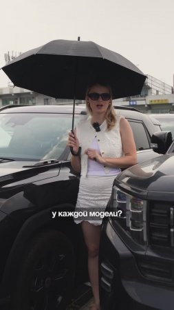 Если вы ищете внедорожник эти 2 варианта будут идеальным выбором!