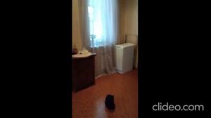 Продается Дом 151,8 м² на участке 5,6 сот.- 8 500 000 ₽