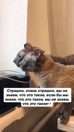 Очень страшно, кто это