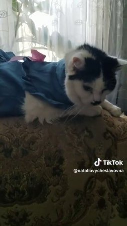 На дискотеку...)))