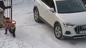 Вумен момент: ужасно запарковалась и попала в ловушку