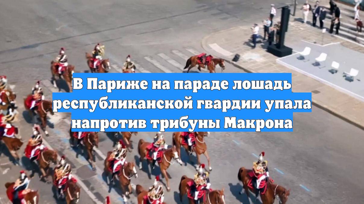 В Париже на параде лошадь республиканской гвардии упала напротив трибуны Макрона