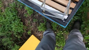 2025-07-13. Пчёлы. Карника. Отводок 2. Часть 2 из 2.MP4.