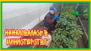 6/7 25 НИЧЕГО НЕ ВЫРАСТЕТ. ЗАПЕЧАТЫВАЕМ НАГЛУХО. ПЛЕТУ СЕТИ,КАК ПАУК. БОЛЬ ВЕРНУЛАСЬ.ОЖИДАЛИ ВКУСНЕЕ