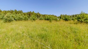 Участок 17 соток в СНТ "Ярвино" (№65)