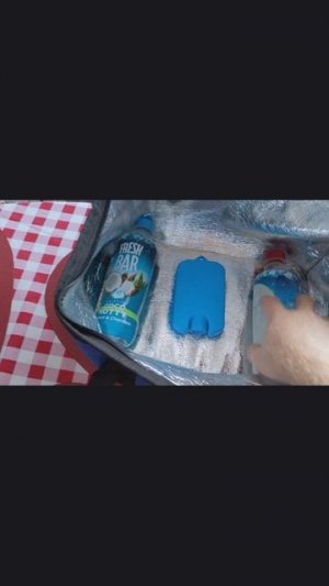 Аккумулятор холода лёд на пляж