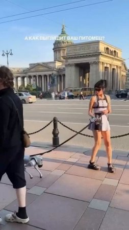 Каких только питомцев не встретишь 😁

В Питере — жить! 👌🏻