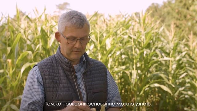 Гут Хюльзенберг, обследование посевов