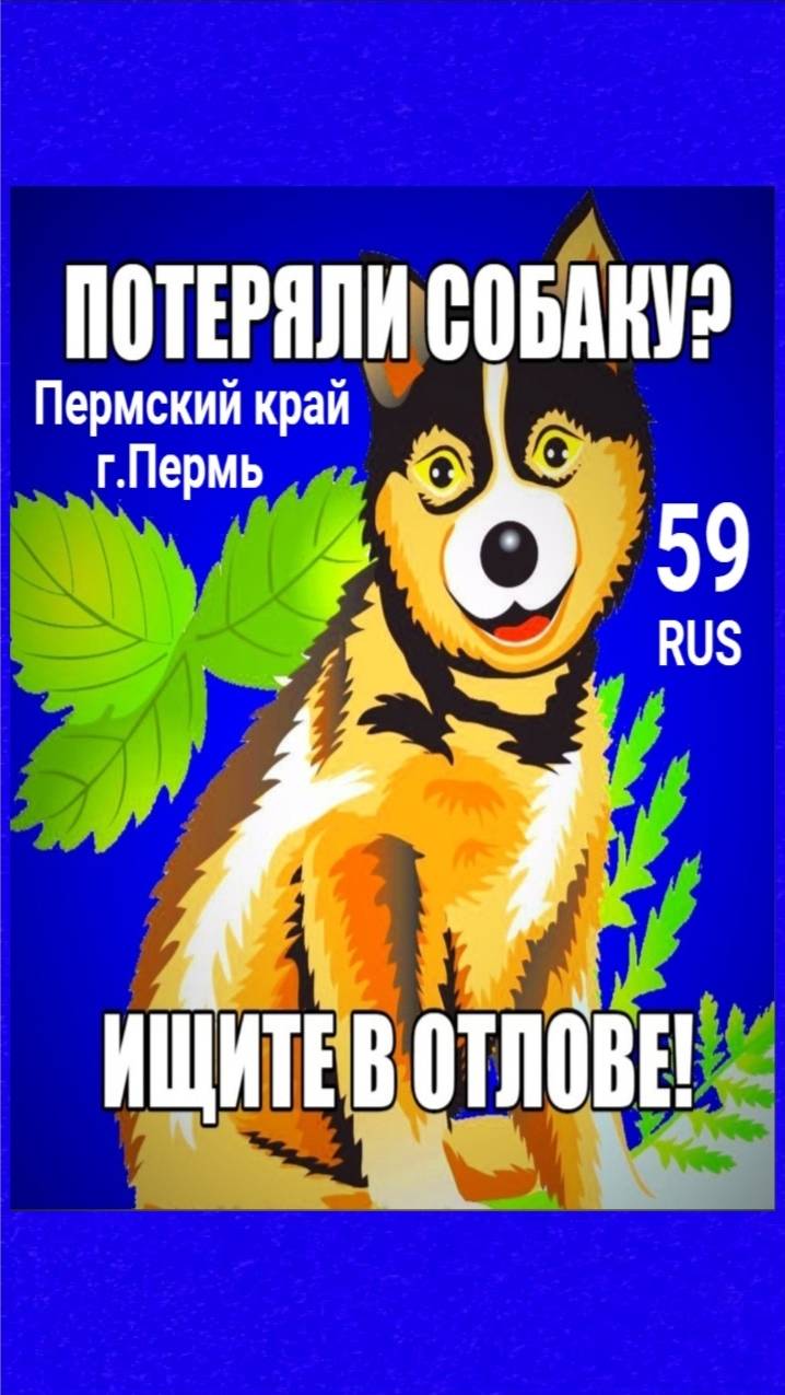 🔥Чьи потеряшки?!!!🔥

В отлов МП г.Перми попали эти собаки