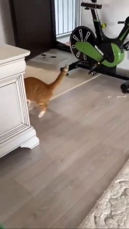 Нервы ни к чёрту