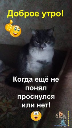 Утренние непонятки-всем хорошего дня