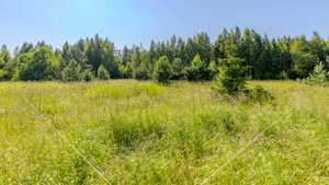 Участок 13 соток в СНТ "Ярвино" (№73)