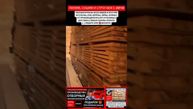 Промо ролик о Компании ПИЛОРАМА #ХОЧУДОСКУ №18