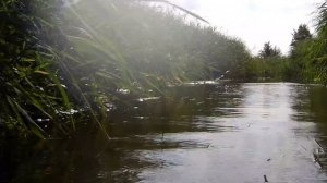 SUP прогулка по Северскому Донцу