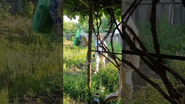 Расходы больше чем dohodы, как мы влетели в doлгПоддержать нас можно в тг: lerahaas