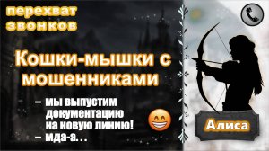 АЛИСА. Кошки-мышки с мошенниками.