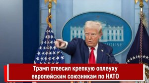 Трамп отвесил крепкую оплеуху европейским союзникам по НАТО