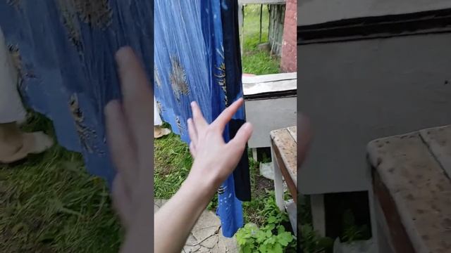 Мама как всегда всё организовала