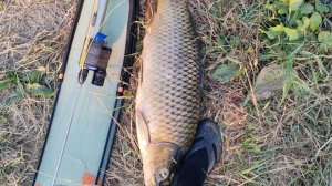 подводная охота сазан  стреляю на ощупь)