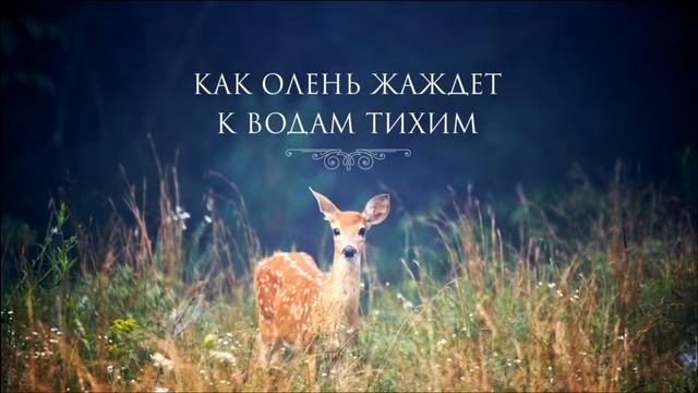 Как олень жаждет к водам тихим - Ирина Орлова, Анастасия Росси