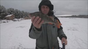 Как поймать крупного окуня How to catch a large perch