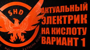 Актуальная сборка Электрик На кислоту вариант первый The Division 2