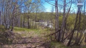 Дорога домой|#сезонконтентаRUTUBE