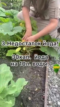 Удаляем листья