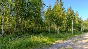 Участок 14 соток в СНТ "Ярвино" (№93)