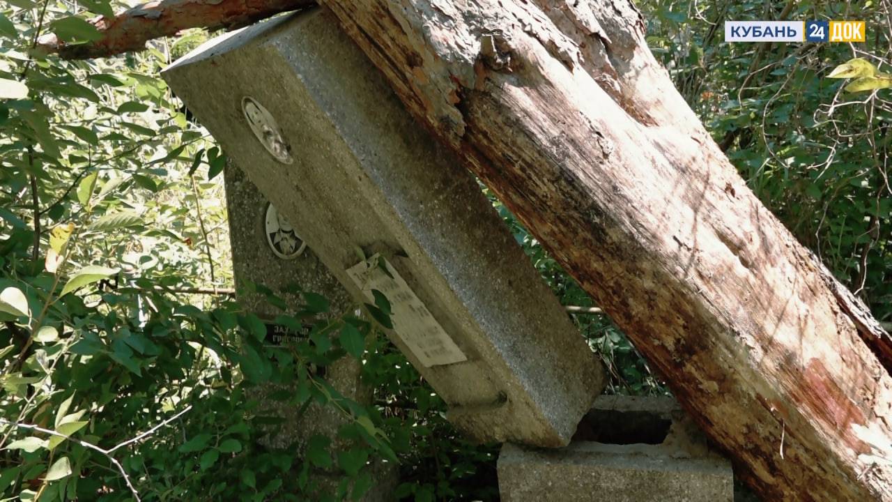 Опасное кладбище. 
Деревья падают на могилы. ГОРЯЧАЯ ЛИНИЯ
