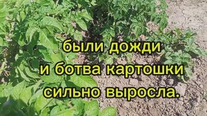 Наши будни 😊 14.07.2025. 1 часть