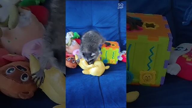 Ритка - бандитка.mp4