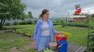 УРОЖАЙ КРАСНОЙ СМОРОДИНЫ УДИВИЛ/ОПЯТЬ ОГУРЦЫ ВЕДРАМИ #сезонконтентаRUTUBE