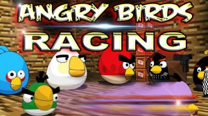 ANGRY BIRDS RACING