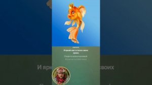 Анюта - рыбка золотая