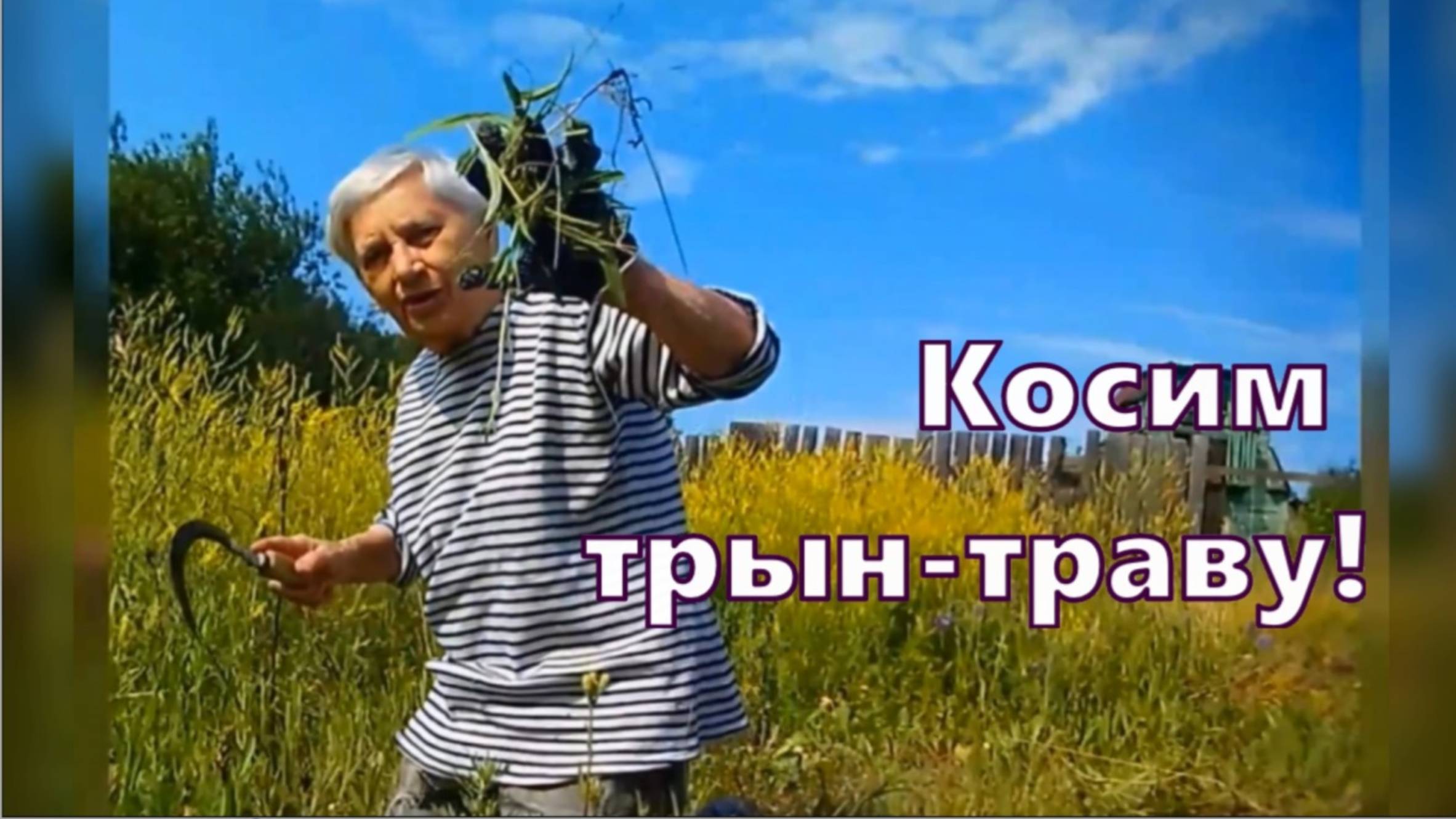 Косим трын-траву опять