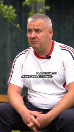 ЧЕСТНЫЙ ОТЗЫВ О БАНЕ, ПЕЧИ И ПАРНОЙ!