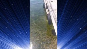 Малыш  в Байкале 😳