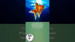 Анюта - рыбка золотая 1